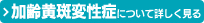 加齢黄斑変性症について詳しく見る